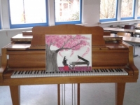 Der Klang von Kirschblüten