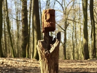 Der Mann im falschen Körper