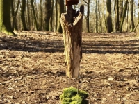 Der Mann im falschen Körper