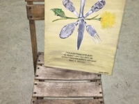 „Meinungsumfrage unter Löwen“