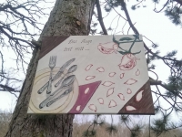 „Das Auge isst mit“